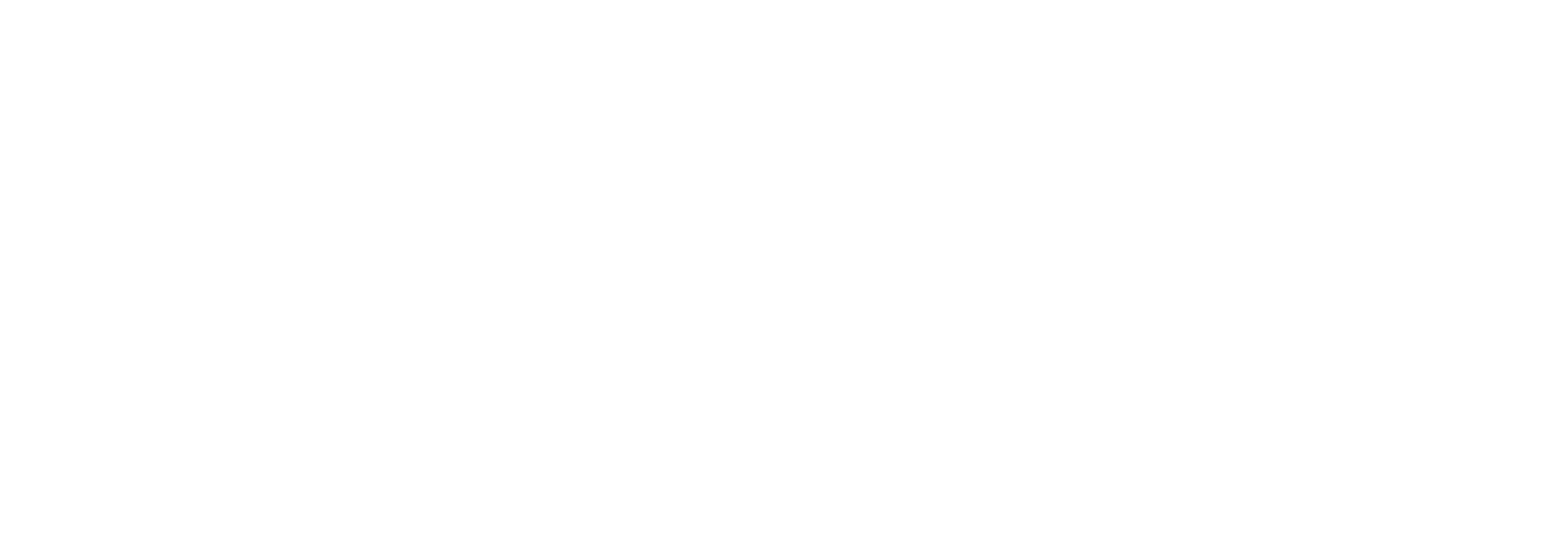 Lgo_NNOS-Negativa-horiz-S-tag